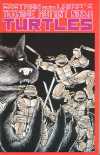 TMNT 1988, #1