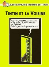 Voyeur Tintin