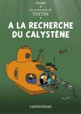 Recherche-du-Calystene-Tintin