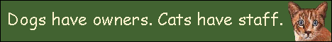 Cats have staff banner