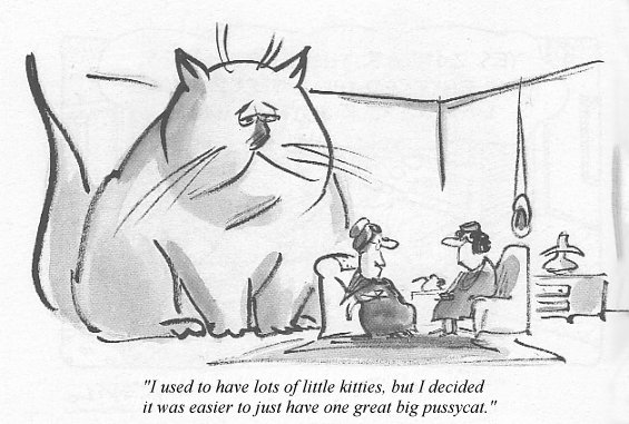 cartoon about cats in time magazine