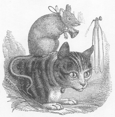 1800's drawing of mouse on a cat's back.