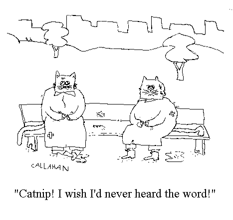 Catnip cartoon by Callahan