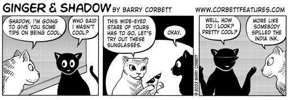 Ginger & Shadow cat comic strip by Barry Corbett.