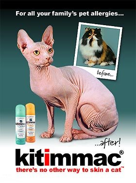 Ad for Kitimmac Skin-A-Cat