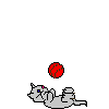 Kitten playing with ball animation