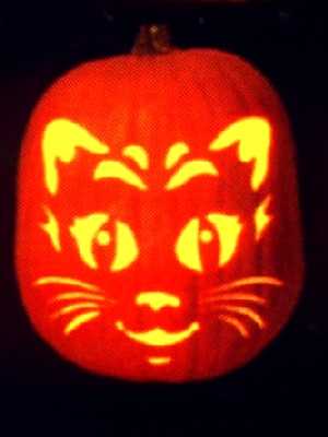 Funny cats #193. Halloween pumpkin carved like a cat face.