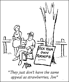 Senior Cartoon: Pick Your Own Turnips